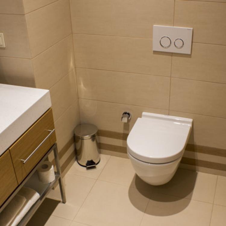 Фотография ванной комнаты 2 местного, 1 комнатного, Стандарта в санатории Источник Ессентуков